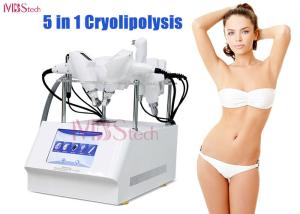 China 5 In 1 Multifunction Cryolipolysis Fat Freeze Slimming Machine factory