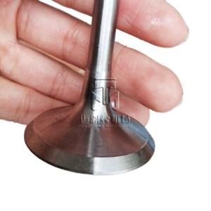 China Inlet valve Exhaust valve 02137300 02237221 04153697 04159139 04231804 02137457 04159136 04153629 02137301 04159138 04230567 for deutz FL914 FL913 factory