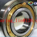 Custom Aluminum Cylindrical Wheel Roller Bearings N206ETN1 Fast Delivery