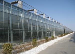 China Hollow PC Sheet Greenhouse , Venlo Style Greenhouse Long Service Life factory