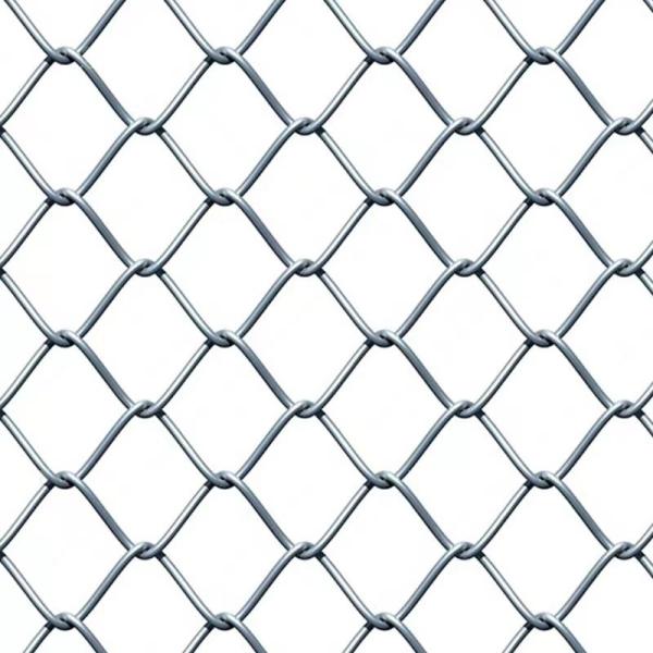 Manufacturers Direct Selling Hot Dipped Galvanized Chain Link Fence Hedge Slats