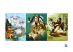 Film Lamination Lenticular Flip , 3D Triple Transition Lenticular Poster 12x17