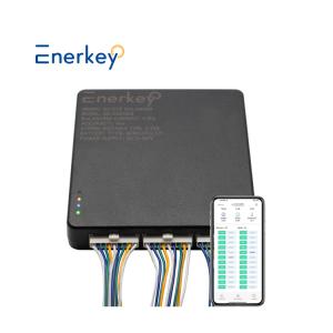 China Li-Ion Lifepo4 Active Cell Balancer BMS 10A Battery Equalizer 200A 2S - 24S factory