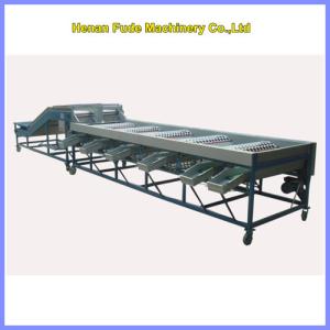 China Garlic grading machine factory