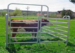 China Heavy Duty Galvanized Corral Yard Cattle Panel / 40x70mm Bulk for Livestock factory