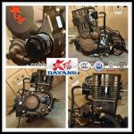 300cc Gasoline Water-Cooling Tricycle Engine for Country Markets by Chongqing