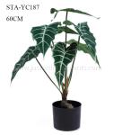 Faux Italian Arum Artificial House Plants Vibrant Green Leaves Eco - Friendly