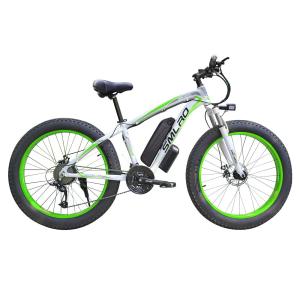 China XDC600 Fat Tire Electric Mountain Bike 48V With Mechanical Disc Brake factory