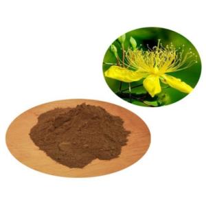 China Forsythia Fructus Plant Extracted Powder NLT 100% Thru 80 Mesh factory