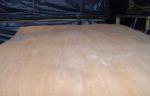 Okoume Yellow Rotary Cut Veneer MDF For Surface Of Furniture