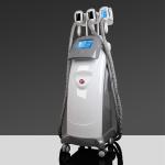 Fast Body Shaping Cryolipolysis Slimming Machine , Slimming Beauty Equipment