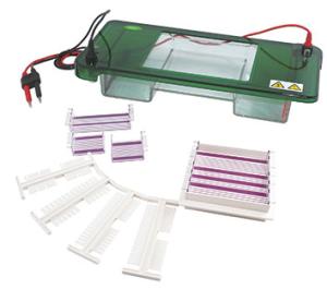 China JY-SPDT Gel Electrophoresis Chamber 900 Ml Buffer Volume Easy Operating factory