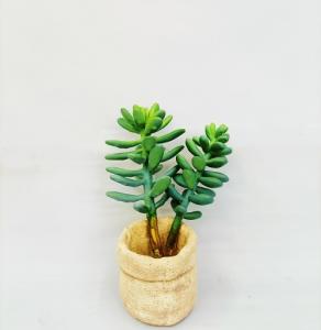 China OEM Green Artificial Succulent Plant Lovely Office Desk Decoration factory