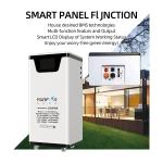15KWH LiFePo4 Solar Energy Storage Battery Household Large Capacity 51.2V 300Ah
