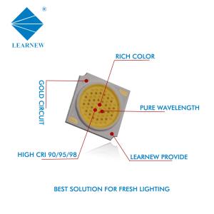 China High Cri 8000-10000K led cob chips 30W fresh light Epistar chip factory