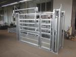 Heavy Duty Cattle Farm Equipment Sheep Weighing Scales ISO9001 Approval