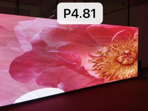 China P4.81 Advertising Rental LED Display Screen Video Walls 43243 Pixel / M2 Density factory