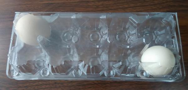 egg trays 6 holes 2*3 holes PVC / PET / APET... quail egg container blister