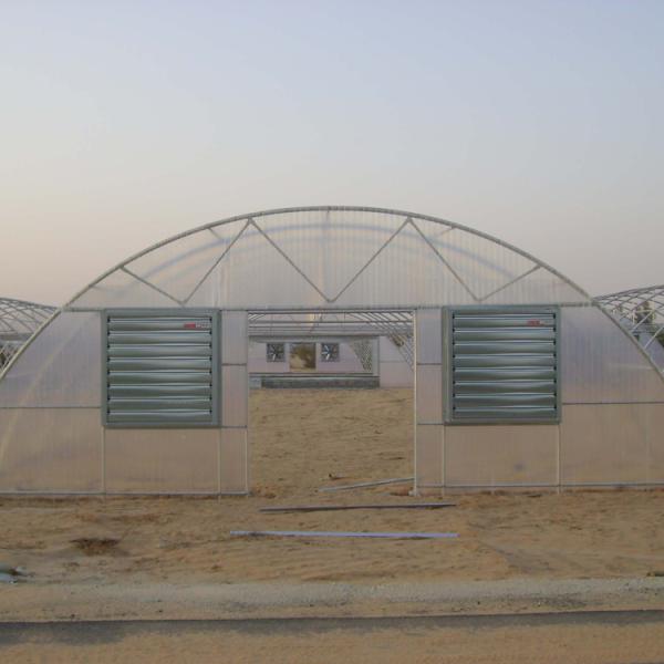 Customize Agricultural Greenhouse Poly Film Greenhouse For vegetable growing