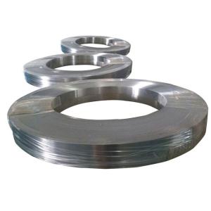 China 48Si7 1.5021 Alloy Spring Steel Strip factory