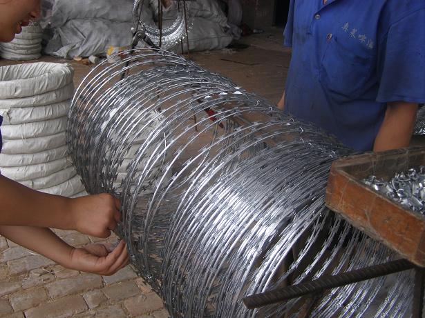 razor wire mesh