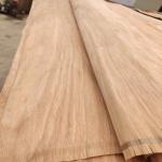 Natural Wood Rotary Cut PQ Veneer Sheet With 0.15-0.3mm For Plywood