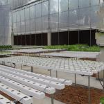 Soilless Indoor Farming Strawberry Growing PVC Tube For Hydroponics NFT System