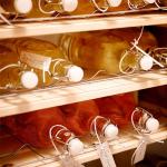 1000ml Glass Drink Bottles Coffee Juice Swing Top Glass Bottles