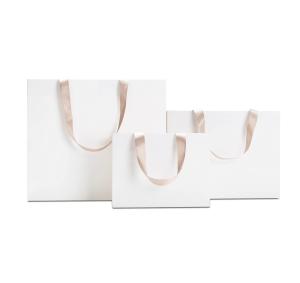 China Custom Logo Popular Boutique Shopping Paper Bag in Gravure Print Design for Shoes factory