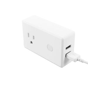 China Tuya Intelligent Alexa Voice Control Wifi Smart Plug Socket With USB Charge factory