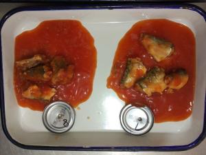China 50 X 155g Canned Sardines Fish In Tomato Sauce With Hot Chili factory