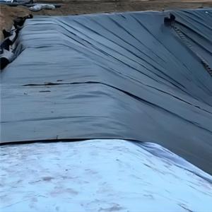 China High Density Polyethylene EVA Geomembrane for Anti-Leakage on Slopes of Landfill Sites factory