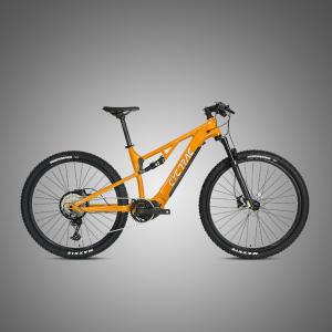 China 48V Mid Drive Carbon Fiber Thru-Axle Boost Frame Inner Cables Electric Bicycle EM6 Ebike factory
