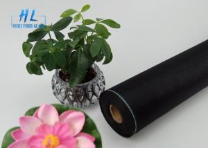 China Transparent Fiberglass Window Screen , Fly Inscect Screen / Mosquito Screen factory