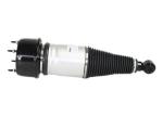 Pneumatic Rear Jaguar Xj8 Suspension For XJ XJR C2C41340 C2C41341