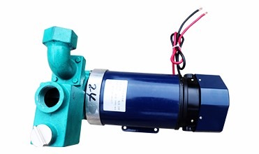 3/4" Gasoline Engine Of Electronic Fuel Pump BJJ-20-PJ 12v 24v 220v