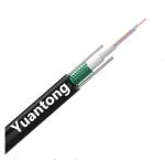 Gyxtw Duct Fiber Optic Cable 8 Core Center Loose Tube Two Parallel Steel Wire