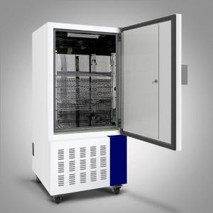 China OEM Temperature Humidity Chamber 220V Temperature Humidity Test Chamber factory