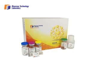 China 96 Wells Human Elisa Kit Cat No E1055hu , 1.51pg / Ml Sensitivity Pth Elisa Kit factory