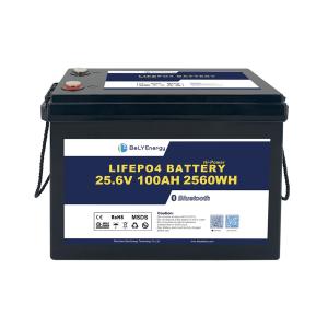 China Bely Energy 5000 Cycles 24V 100AH Lifepo4 200ah For Consumer Electronics Yacht EV factory