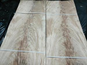China 0.6mm thickness Mahogany, African Khaya Crotch Wood Veneer for Furniture Usage factory