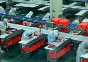 China Beef Split Meat Production Line / Processing Line 100-300 Cattle Per Hour Speed factory