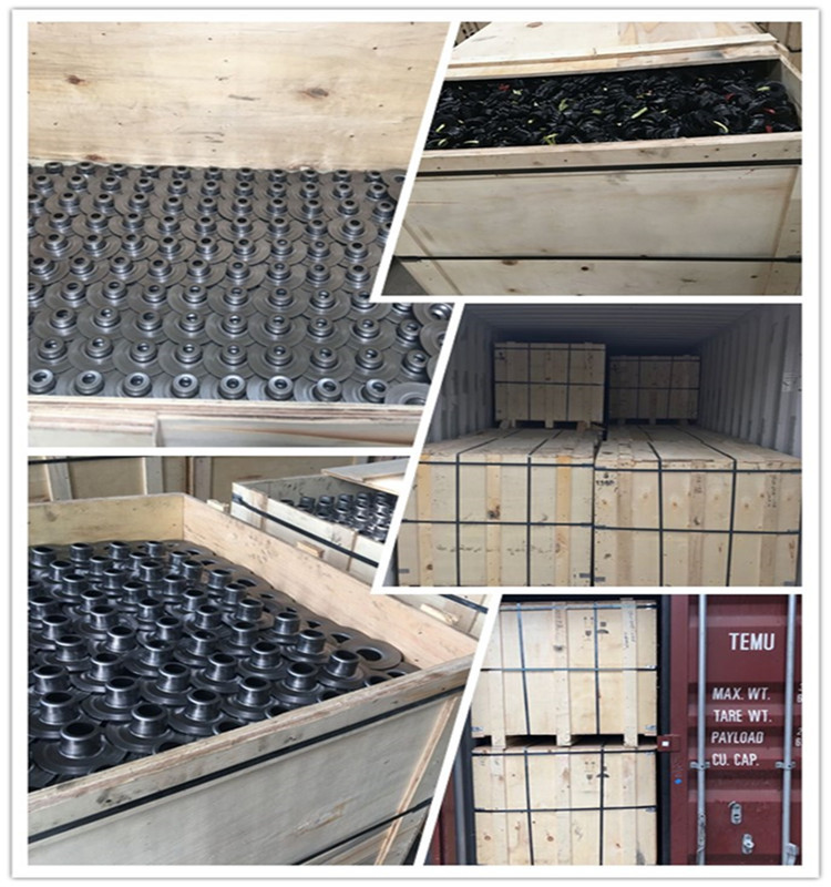 62mm Bearing Housing Seal Conveyor Roller Bearing Housing TK6305