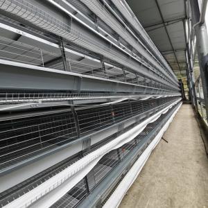 China Galvanized Steel 5 Layers Battery Cage H Type Hens Cage For Egg Chicken factory