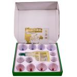 Twist Suction Cupping Cups Set Manual Vacuum Hijama Cupping Set