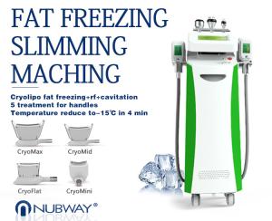 China 5 Handles Cryolipolysis RF Cavitation lose weight and body slimming machine factory