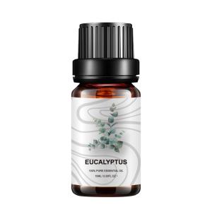 China 5ml Home Fragrance Essential Oils Plant Eucalyptus COA OEM For Medicine factory