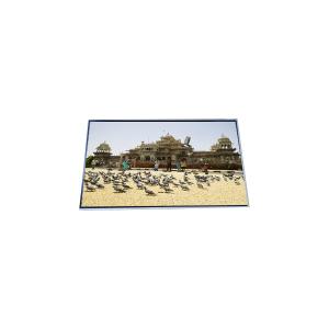 China P460HVN04.5 46.0 inch LCD display panel 1920*1080 LCD Screen Module factory