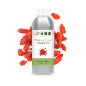 China Aromatherapy Cosmetic Wholesale bulk Matrimony vine Lycium chinensis Chinese wolfberry oil factory
