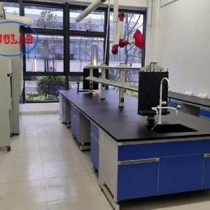 China High Safety and Some Assembly Required Lab Bench with Sink Manufacturers factory